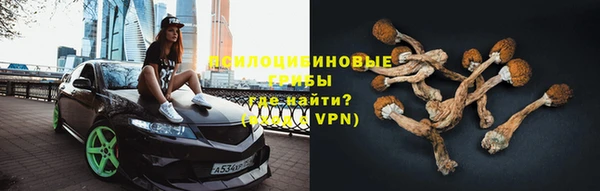 эйфоретик Нея