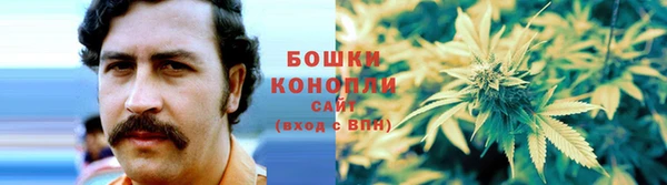COCAINE Новодвинск
