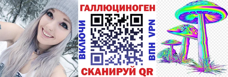 Галлюциногенные грибы Psilocybe  Новоржев 